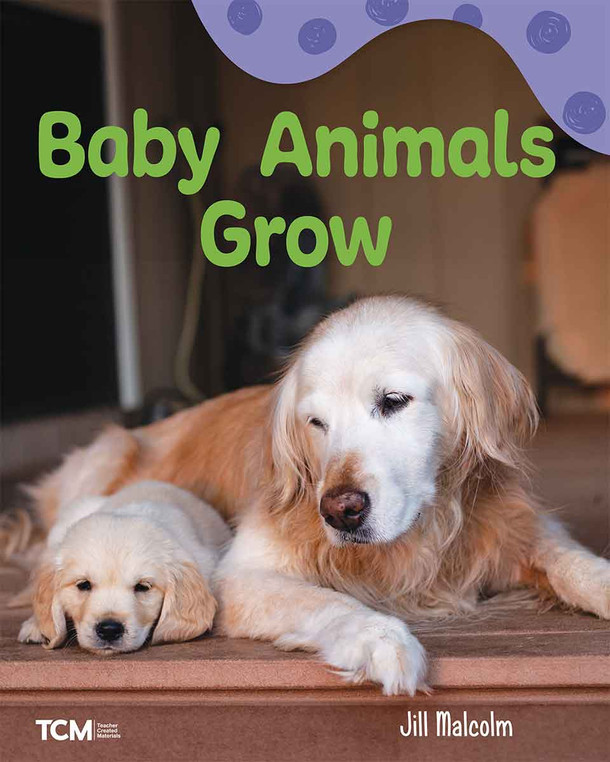 Baby Animals Grow, A Wordless Nonfiction Book (Paperback)