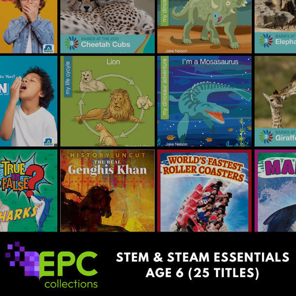 STEM  & STEAM Essentials for International Classrooms - Age 6 (25 Titles)