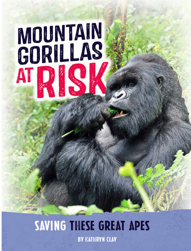 Animals at Risk: Mountain Gorillas at Risk (Hardcover)