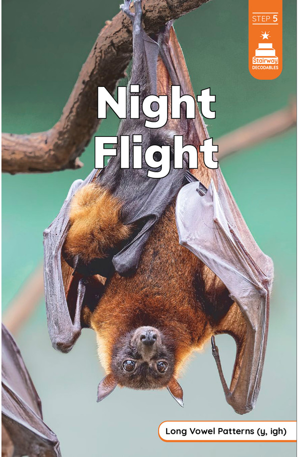 Stairway Decodables Nonfiction Step 5: Night Flight (Paperback)