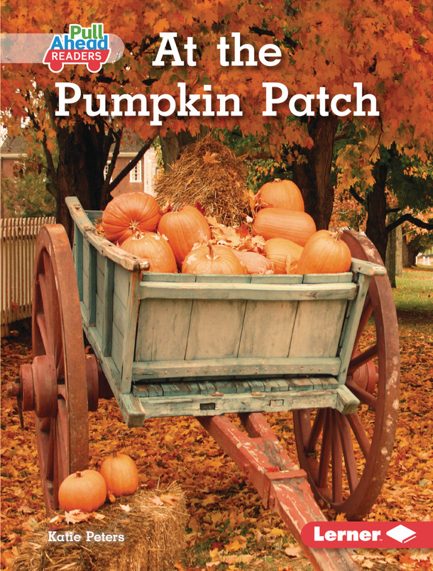 At the Pumpkin Patch (Library Binding) At the Pumpkin Patch (Library Binding)