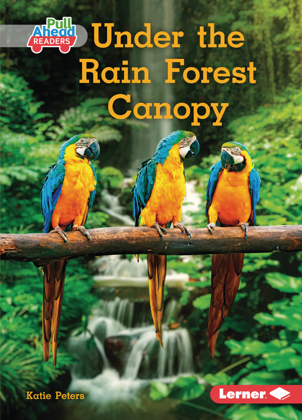 Under the Rain Forest Canopy (Paperback)