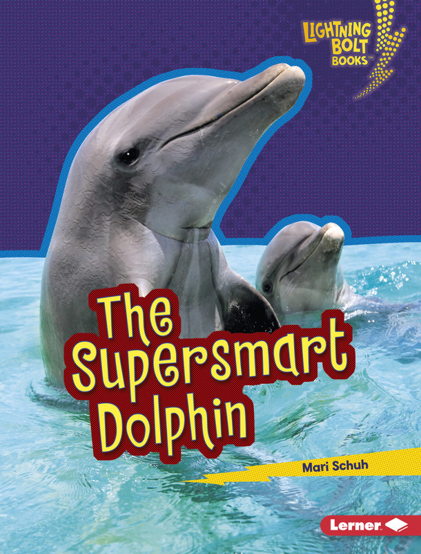 The Supersmart Dolphin (Library Binding) The Supersmart Dolphin (Library Binding)
