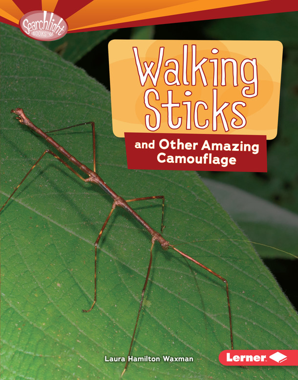 Walking Sticks and Other Amazing Camouflage (Library Binding)