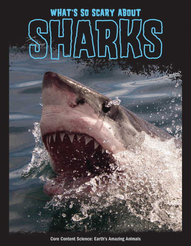 What's So Scary about Sharks? (Library Binding)