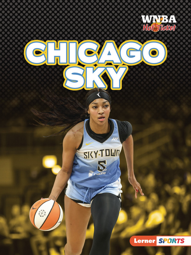 Chicago Sky (Paperback) by Josh Anderson Chicago Sky (Paperback) by Josh Anderson