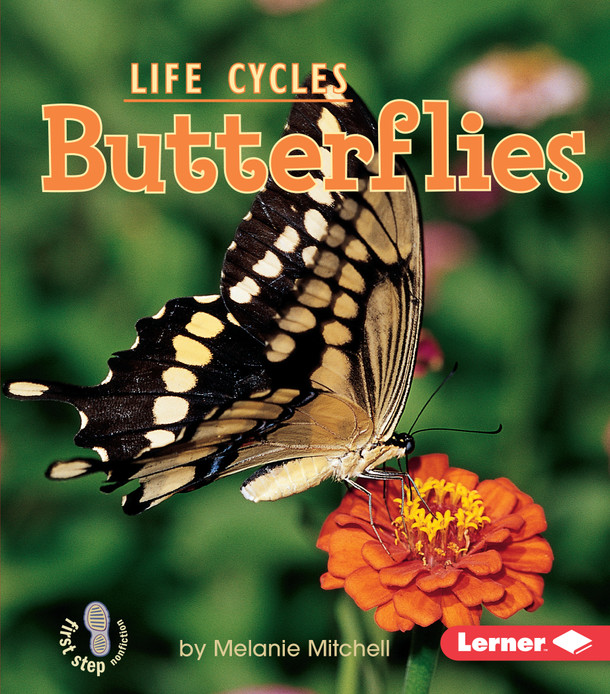 Butterflies (Paperback) by Melanie Mitchell Butterflies (Paperback) by Melanie Mitchell