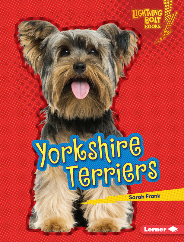 Yorkshire Terriers (Library Binding) by Sarah Frank Yorkshire Terriers (Library Binding) by Sarah Frank