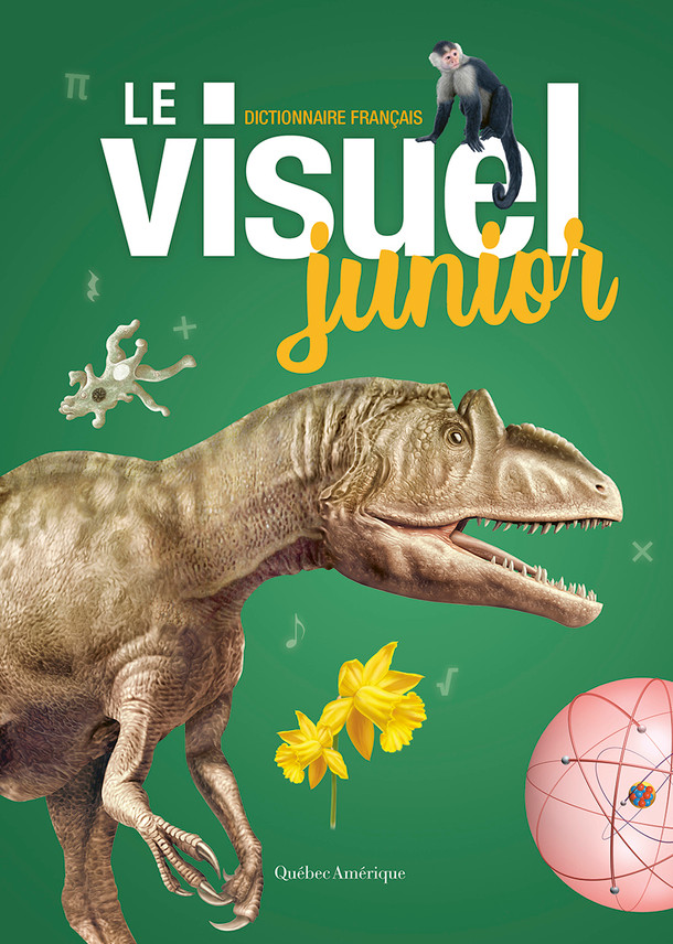 Le Visuel junior (Hardcover)
