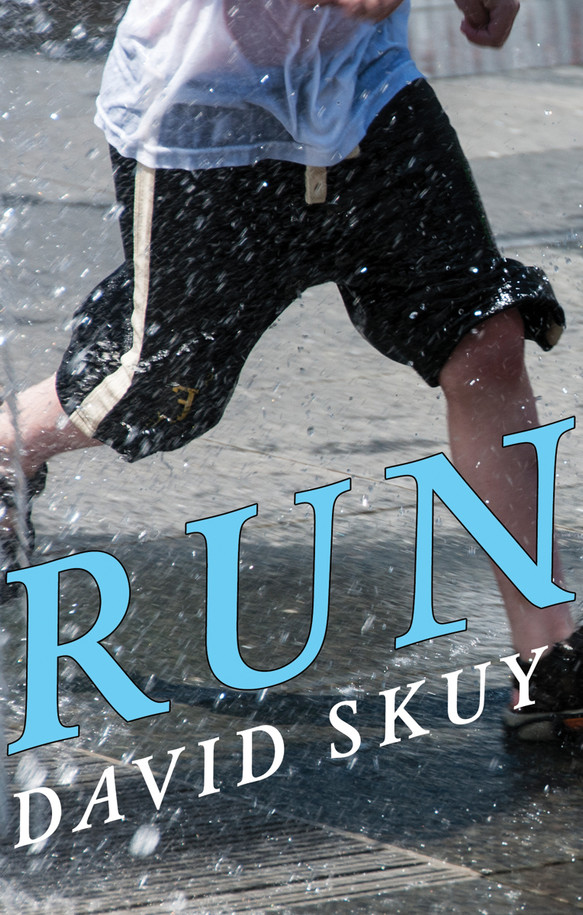 Run (Paperback) Cormorant Books