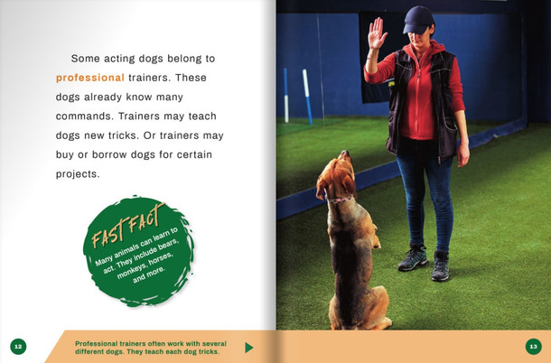 Dogs at Work - 8 Titles (Hardcover)