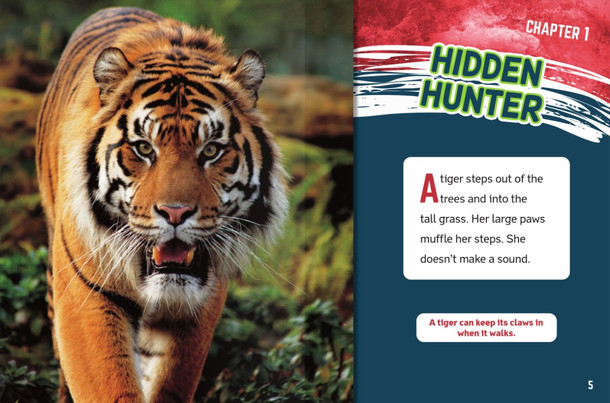 Wild Cats - 8 Titles (Hardcover)