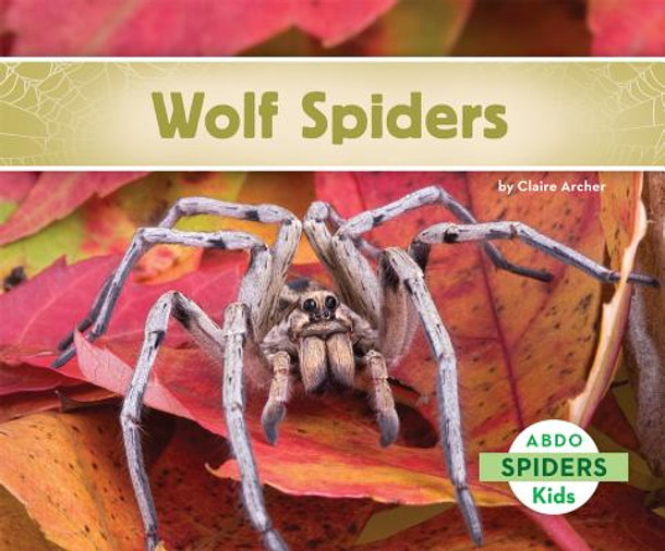 Wolf Spiders (Library Binding)