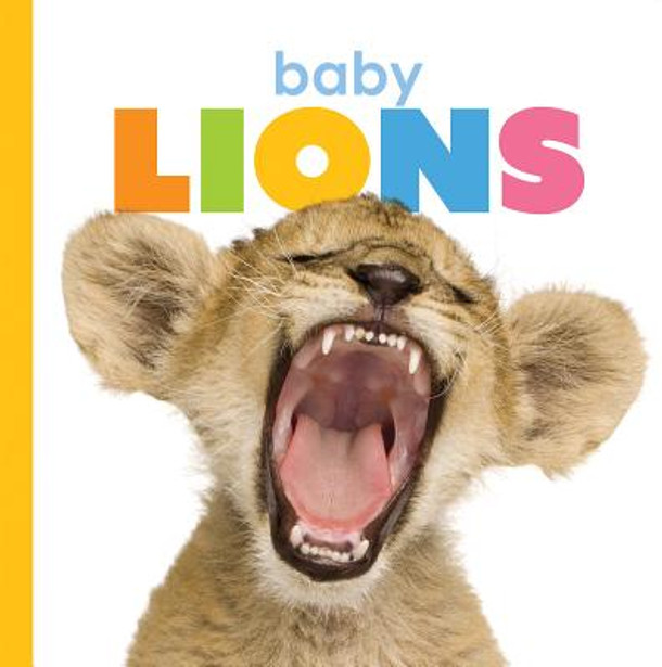 Baby Lions (Library Binding)