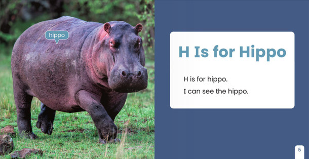 Alphabet Fun - 26 Titles (Hardcover)