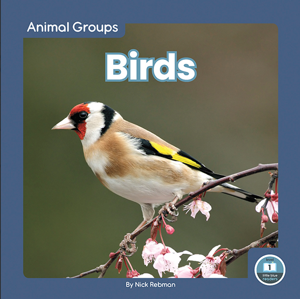 Animal Groups - 8 Titles (Hardcover)