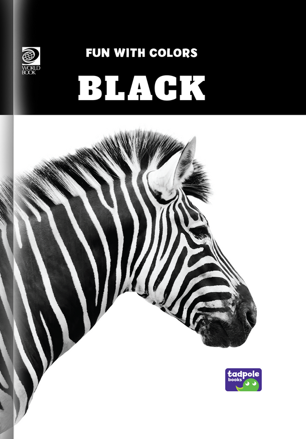 Fun With Colors: Black (Hardcover)