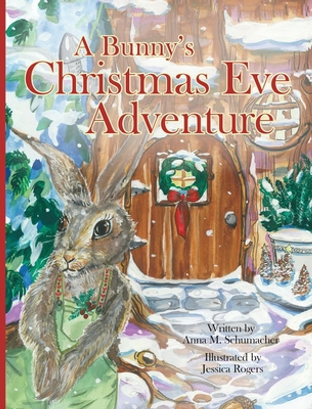 A Bunny's Christmas Eve Adventure (Hardcover)