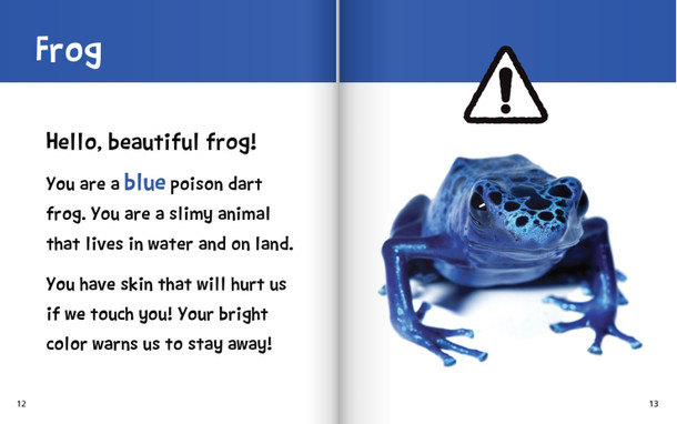 Hello, Beautiful! Colorful Animals (Hardcover)