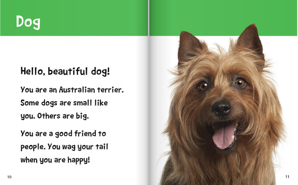 Hello, Beautiful! Pet Animals (Hardcover)