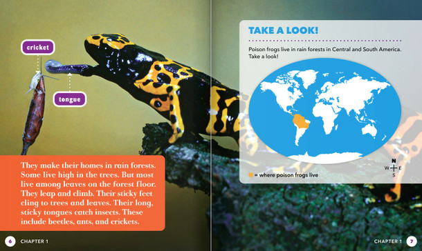 Science Behind the Colors: Poison Frogs (Hardcover)