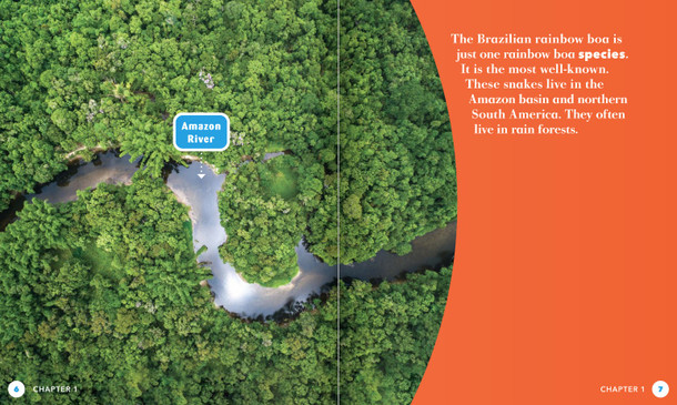 Science Behind the Colors: Rainbow Boas (Hardcover)