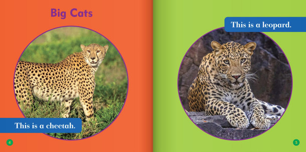 Spot the Differences: Cheetah or Leopard? (Hardcover)