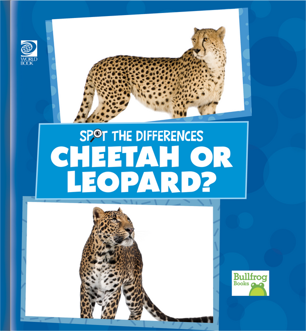 Spot the Differences: Cheetah or Leopard? (Hardcover)