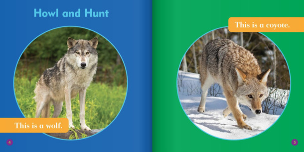 Spot the Differences: Wolf or Coyote? (Hardcover)