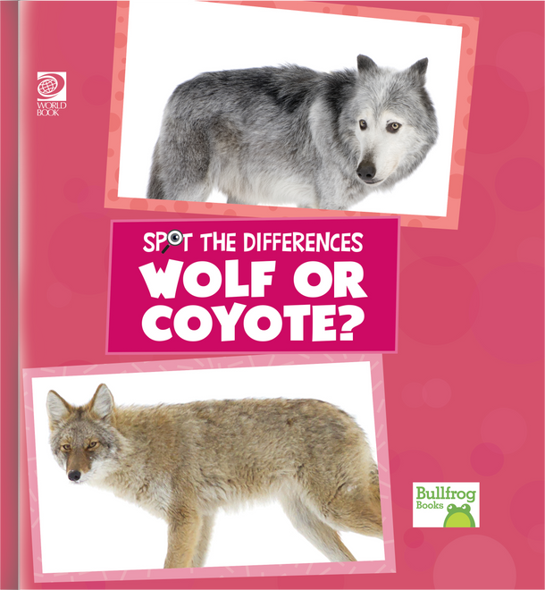 Spot the Differences: Wolf or Coyote? (Hardcover)