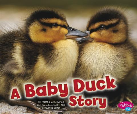 A Baby Duck Story (Paperback)