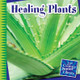Healing Plants (Paperback)