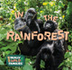 In the Rainforest (Paperback)