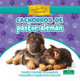 Cachorros de Pastor Alemán (German Shepherd Puppies) (Paperback)