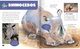 Curiosity Encyclopedia: Animal Worlds (Hardcover) Curiosity Encyclopedia: Animal Worlds (Hardcover)