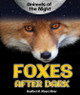 Foxes After Dark (Library Binding)