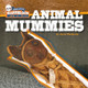 Animal Mummies (Paperback)