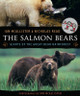 The Salmon Bears: Giants of the Great Bear Rainforest (Paperback)