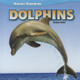 Dolphins (Library Binding)