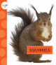 Squirrels (Paperback)