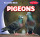 Pigeons (Paperback)