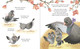 A Pigeon in Paris: Petite Takes Flight (Hardcover)