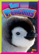 Baby Penguins (Paperback)