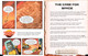 Malcom's Martians: The Rising Tide of Lava - Chaos on Mars (Paperback) Malcom's Martians: The Rising Tide of Lava - Chaos on Mars (Paperback)