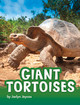 Giant Tortoises (Paperback)