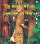 Un Hábitat de Bosque Tropical (a Rainforest Habitat) (Library Binding)