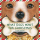 What Dogs Want for Christmas (Hardcover)
