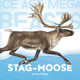 Stag-Moose (Paperback)