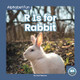 R Is for Rabbit (Library Binding)
