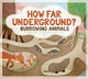 How Far Underground?: Burrowing Animals (Library Binding)